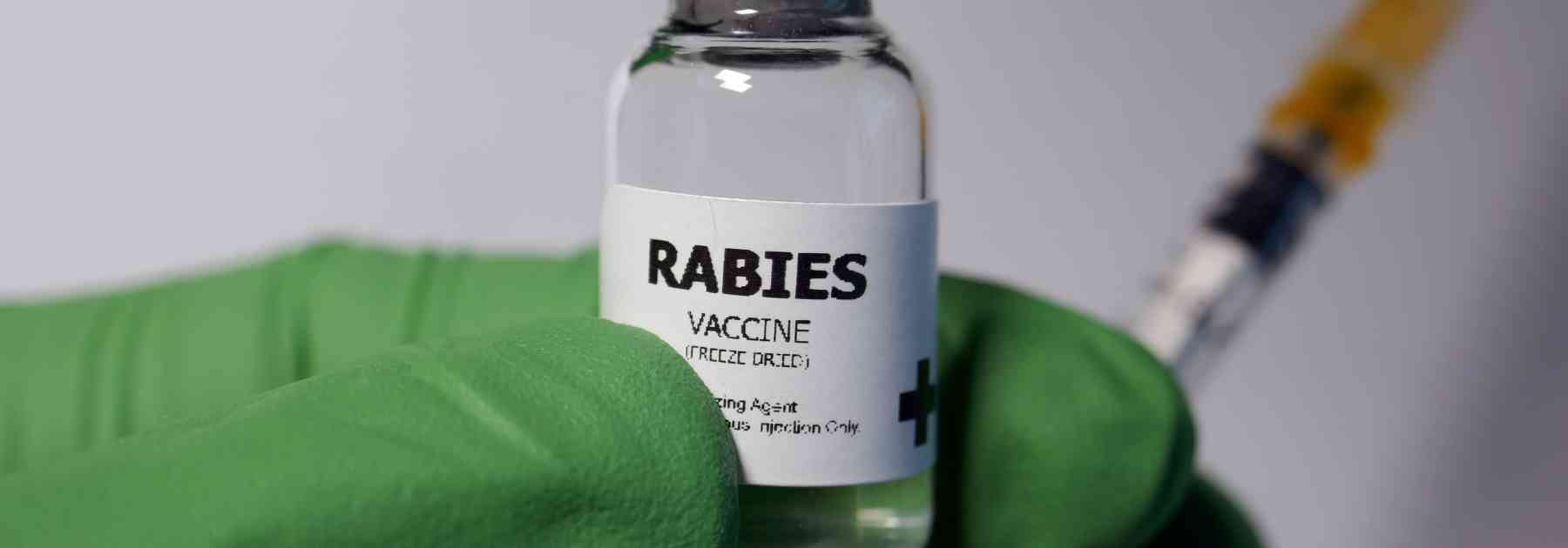 Get essential vaccines at Eltham Pharmacy travel clinic near me