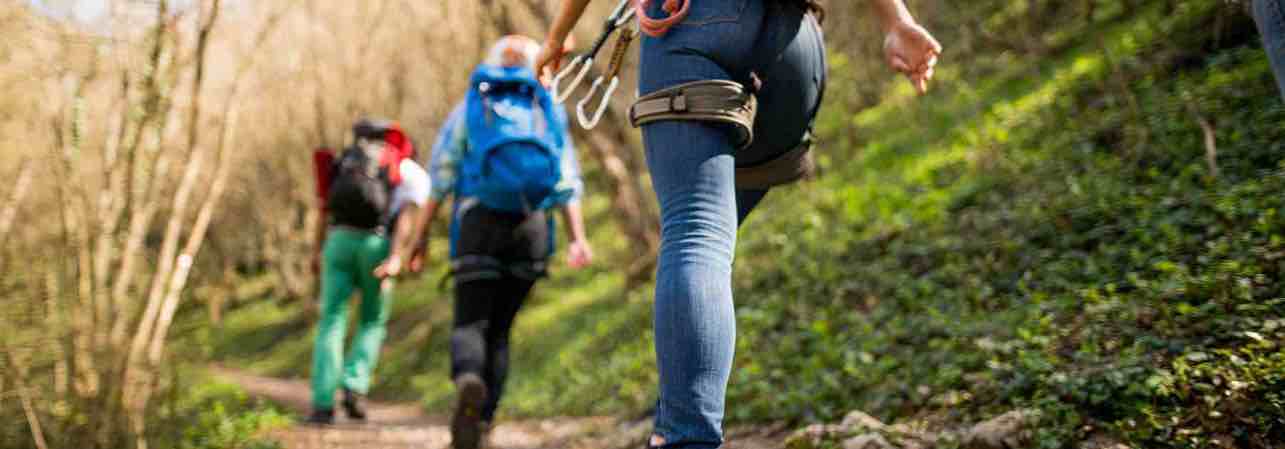 Book your tick-borne encephalitis vaccine in London. 