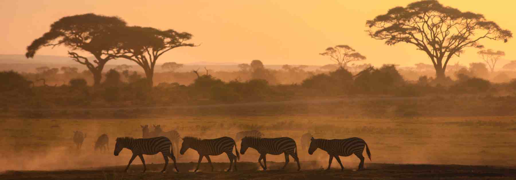 How long does the rabies vaccine last for travel?